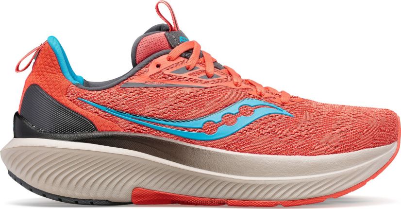 Coral/Ocean